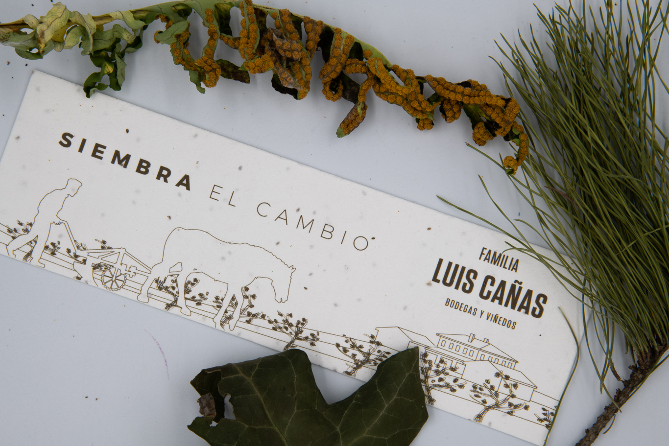 Viticultura sostenible y el papel de semillas para Luis Cañas marcapáginas